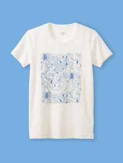 CALIDA X HSLU T-Shirt, Rundhals -CALIDA-Shop Calida CALIDAXHSLU Kurzarm Shirt weiss 14147 910 22 06 08 8